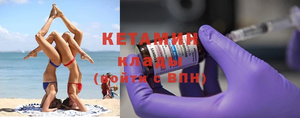 трава Корсаков