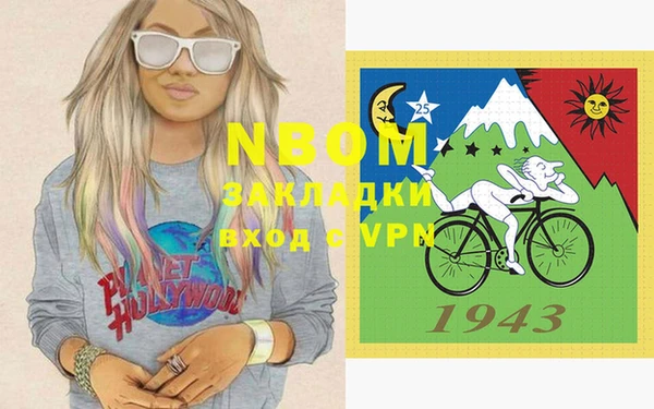 трава Корсаков