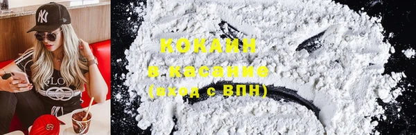 трава Корсаков
