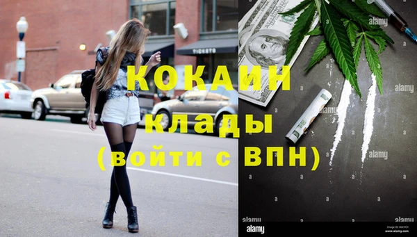 трава Корсаков