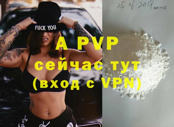 трава Корсаков