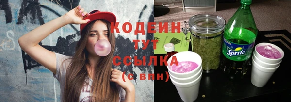 молекула духа Козельск