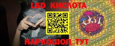 стаф Берёзовский