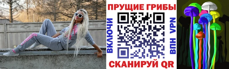 купить  цена  ссылка на мегу как зайти  Псилоцибиновые грибы GOLDEN TEACHER  Челябинск 