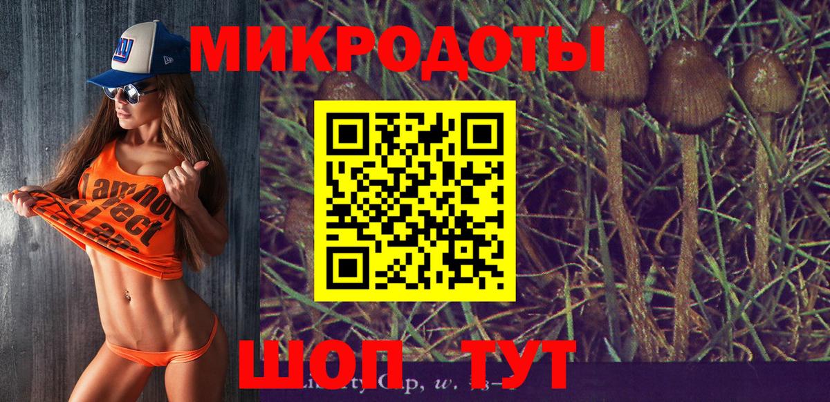 Псилоцибиновые грибы Psilocybe Челябинск