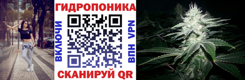 Бошки марихуана конопля Челябинск